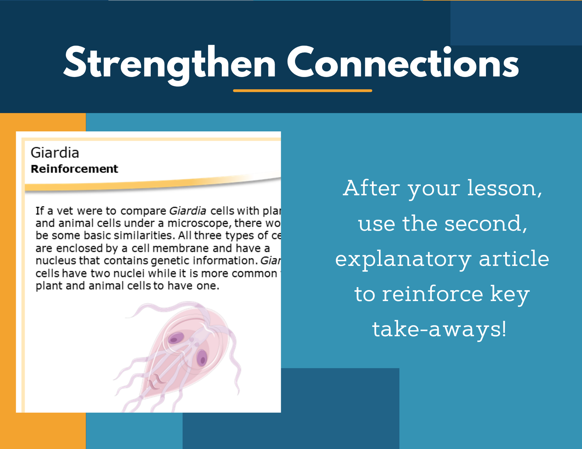 Amazing Anchors Cell Parts & Functions (Giardia Single-Celled Organisms) - NGSS MS LS1-2