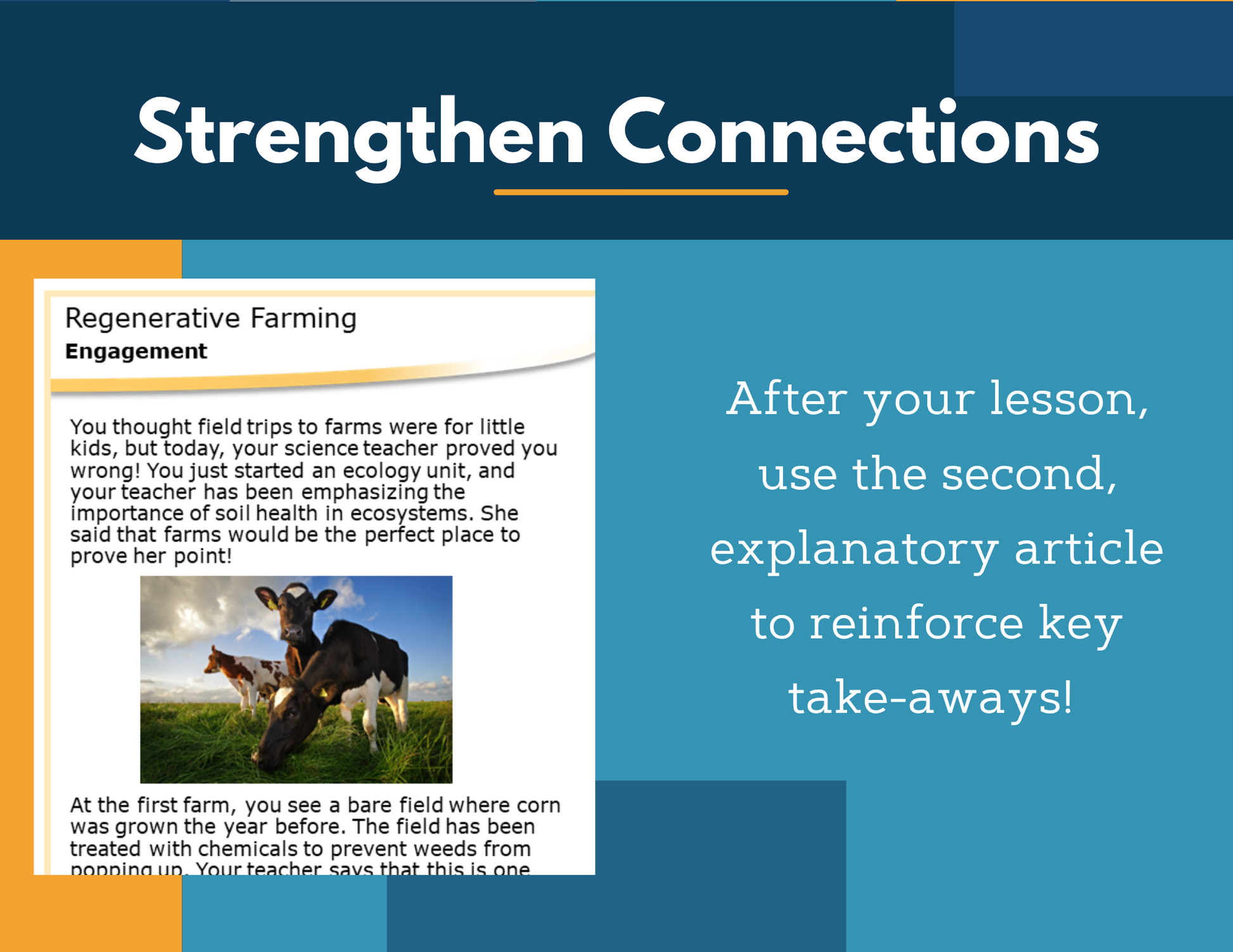 Amazing Anchors Resource Availability (Regenerative Farming) - NGSS MS LS2-1