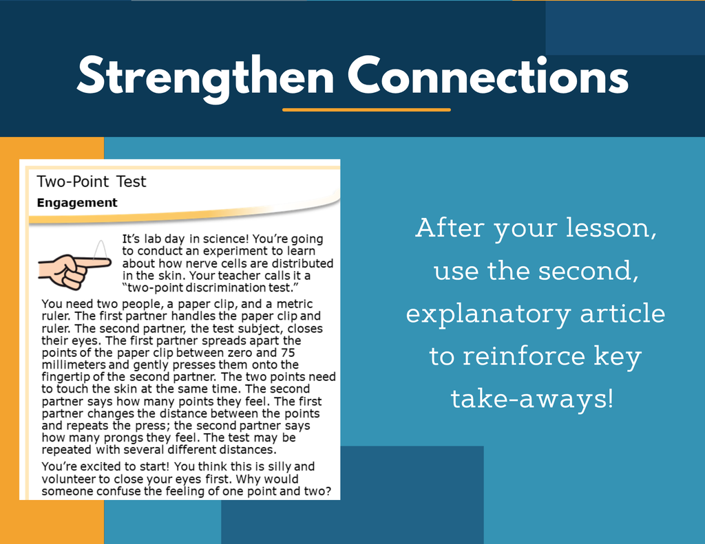 Amazing Anchors Interacting Body Systems (Two-Point Test) - NGSS MS LS1-3