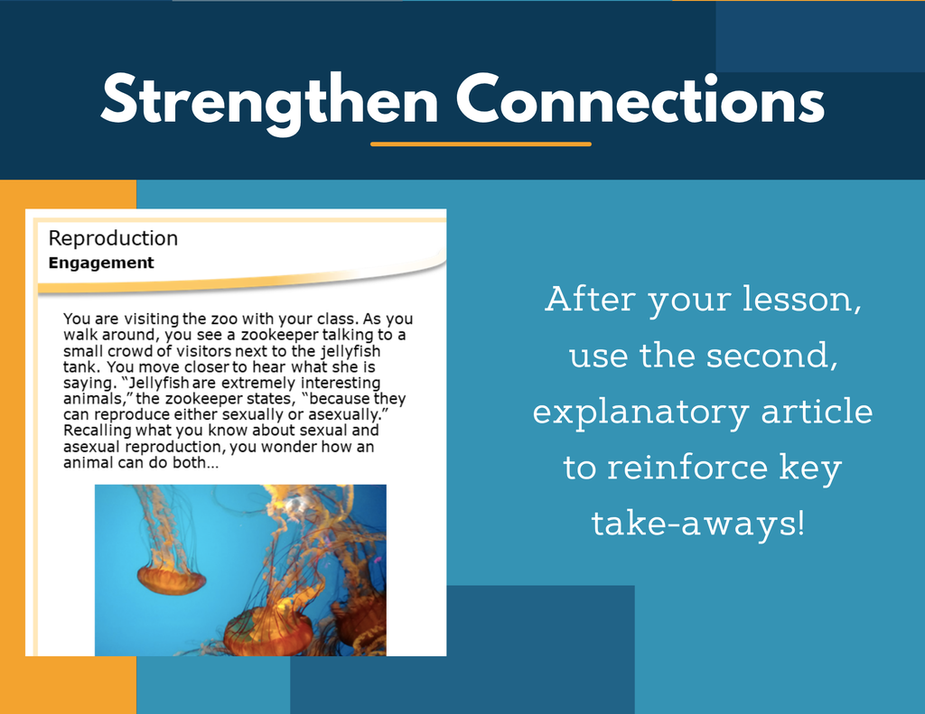 Amazing Anchors Sexual & Asexual Reproduction - MS 6-8