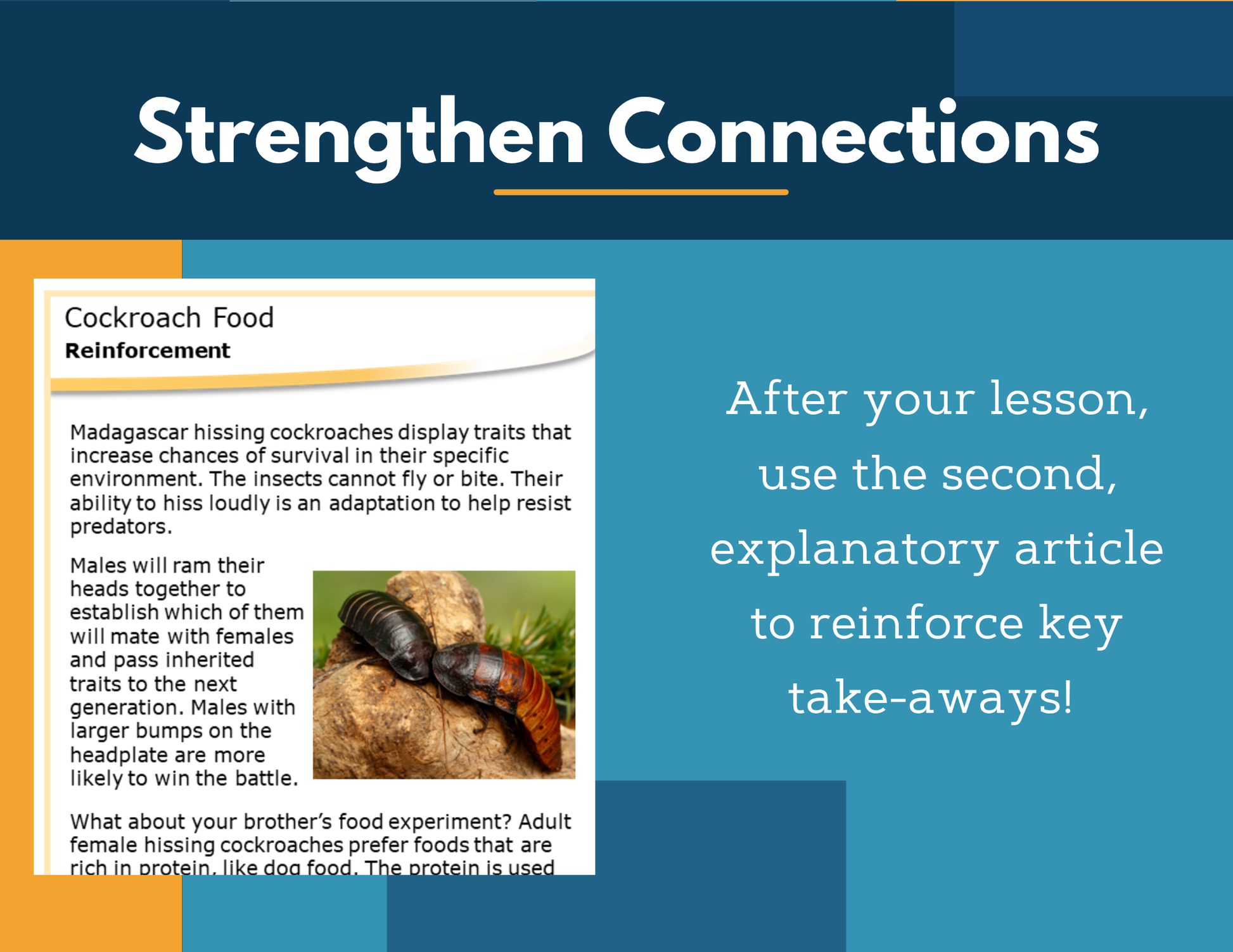 Amazing Anchors Influencing Organism Growth (Cockroach Food) - NGSS MS LS1-5