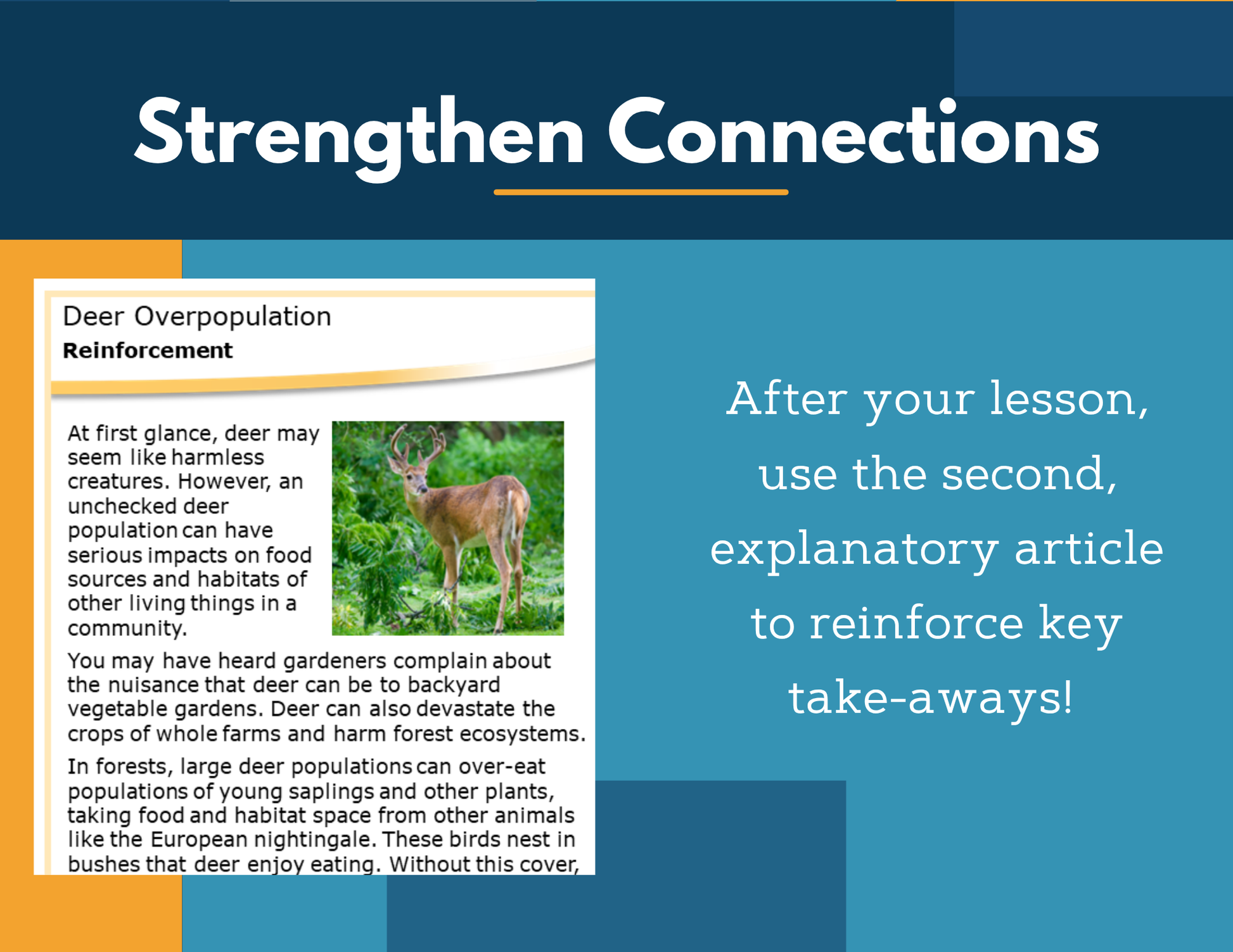 Amazing Anchors Competition for Resources (Deer Overpopulation) - MS 6-8