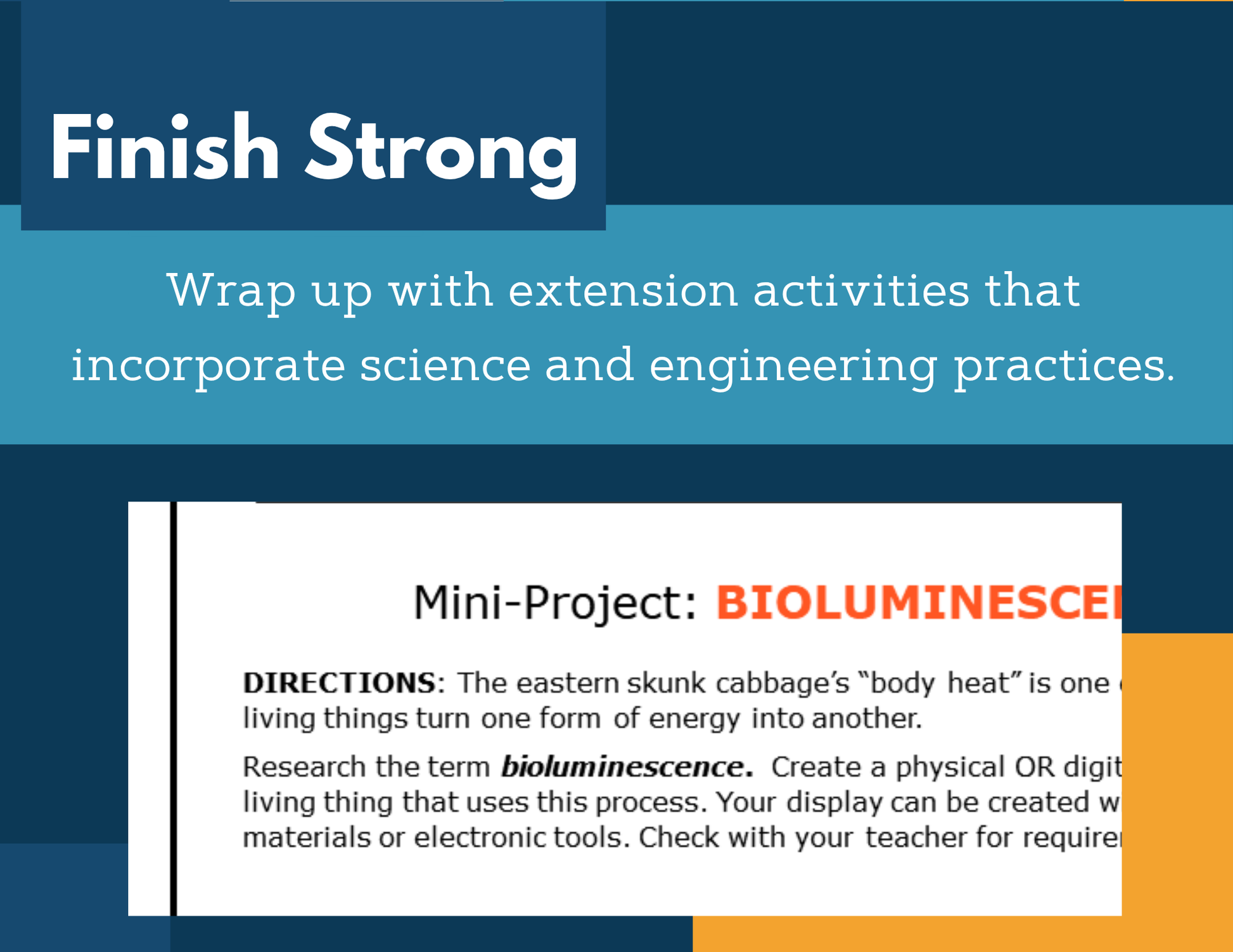 MS 6th 7th 8th Science Reading Comprehension Passages - VOL. 4 - Energy in Organisms