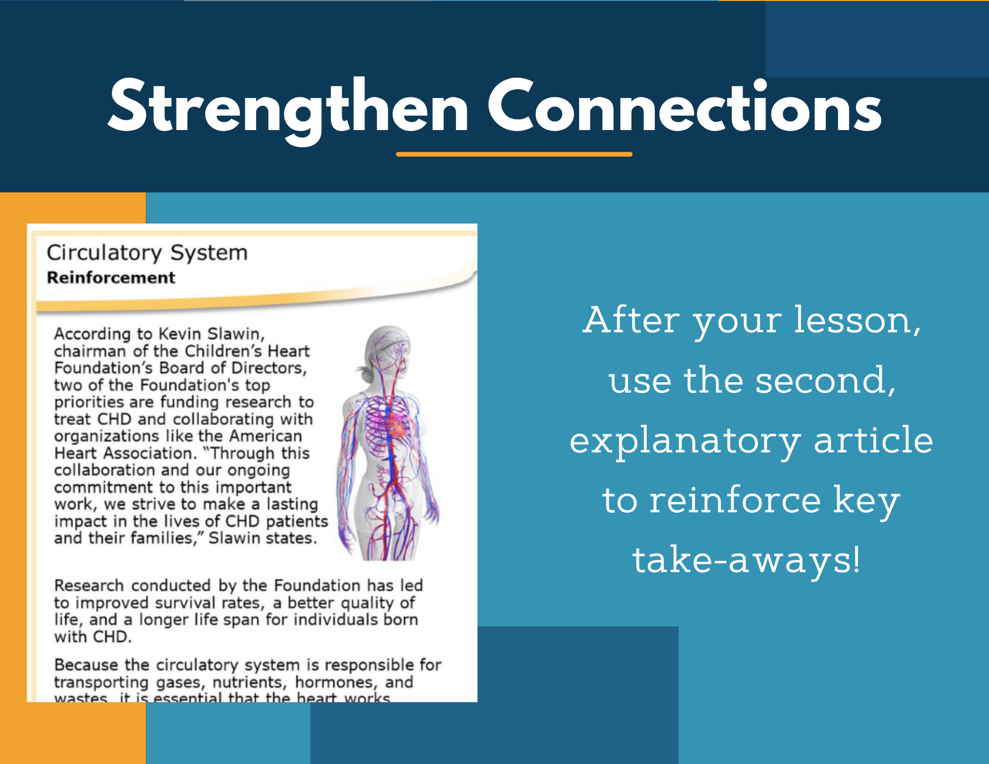 Amazing Anchors - Circulatory System - MS 6-8