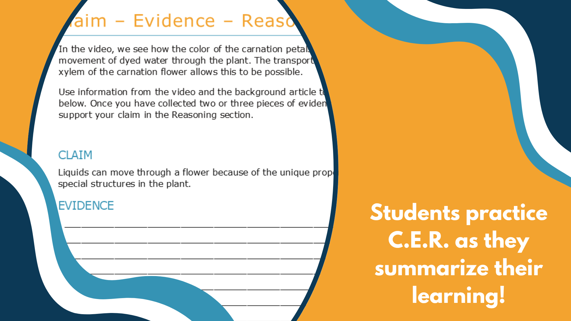 Color-Changing Carnations - Spangler Video Worksheets with CER