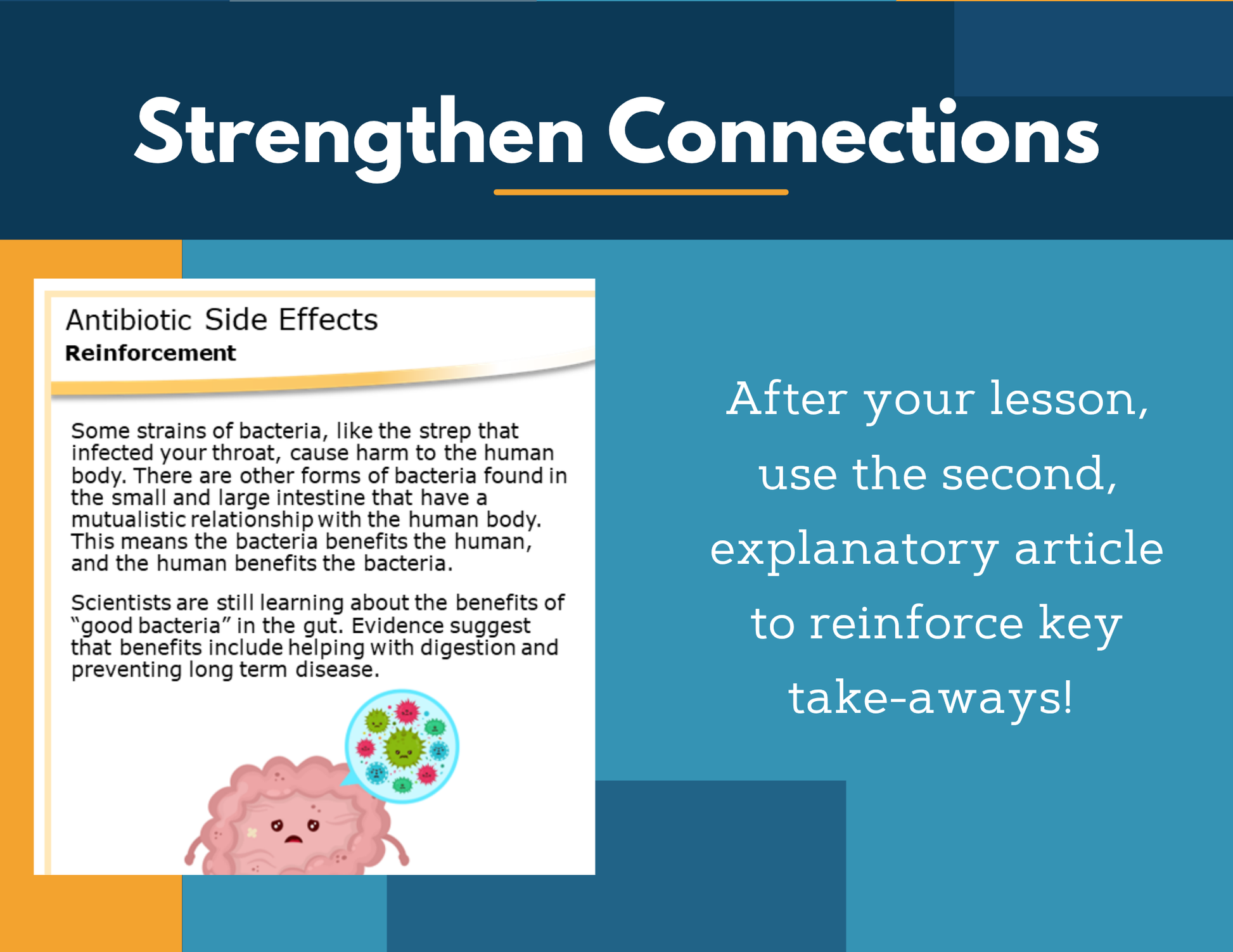 Amazing Anchors Organism Relationships (Antibiotic Side Effects) - NGSS MS LS2-2