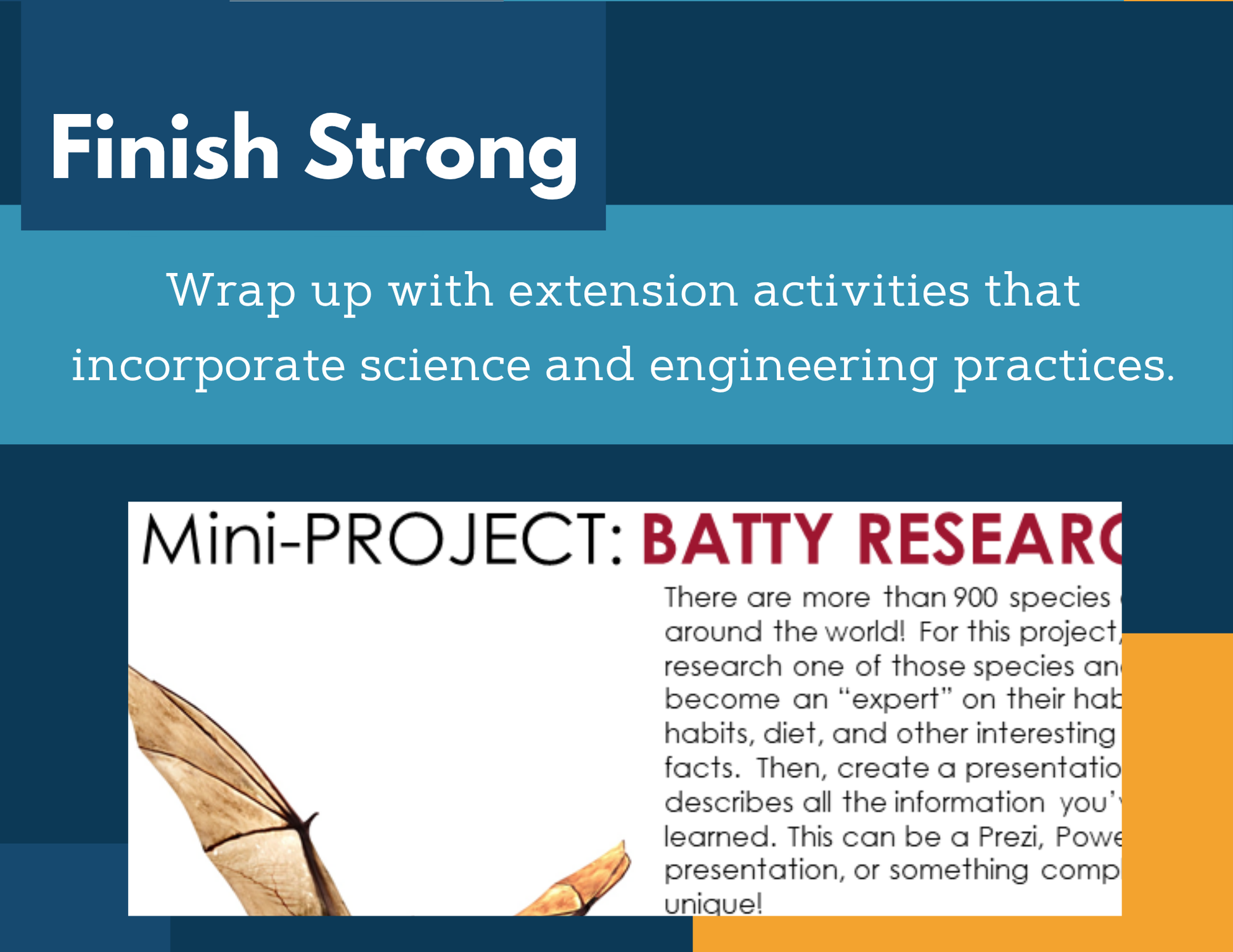 MS 6th 7th 8th Science Reading Comprehension Passages - Keep Austin Batty