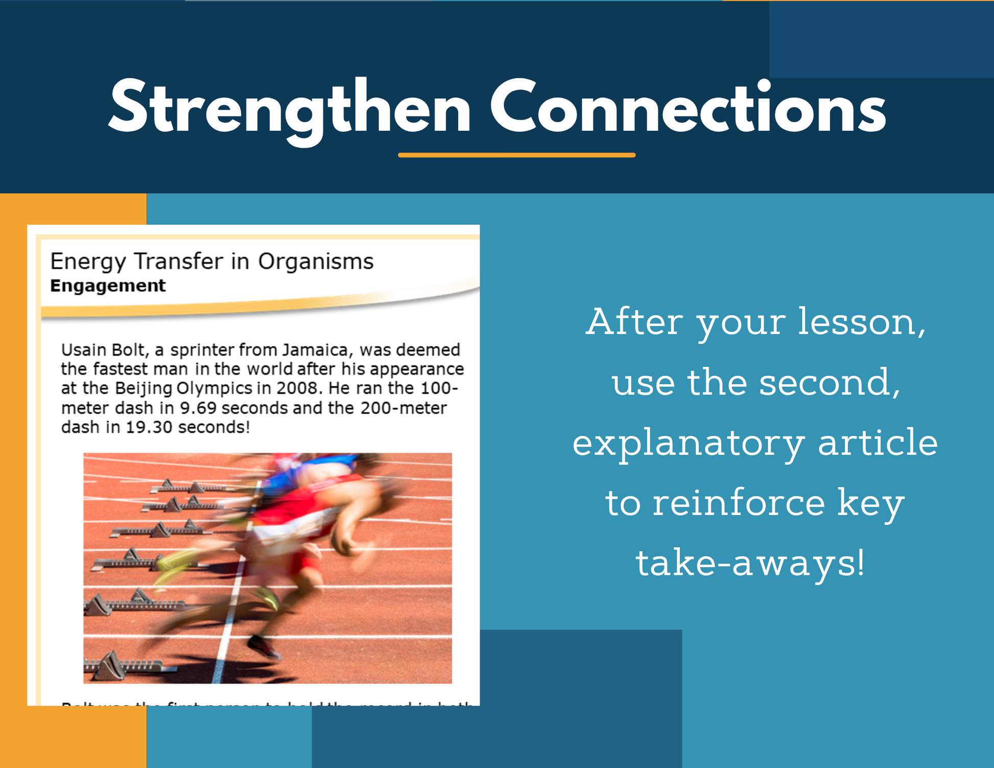 Amazing Anchors Energy Transfer in Organisms - MS 6-8
