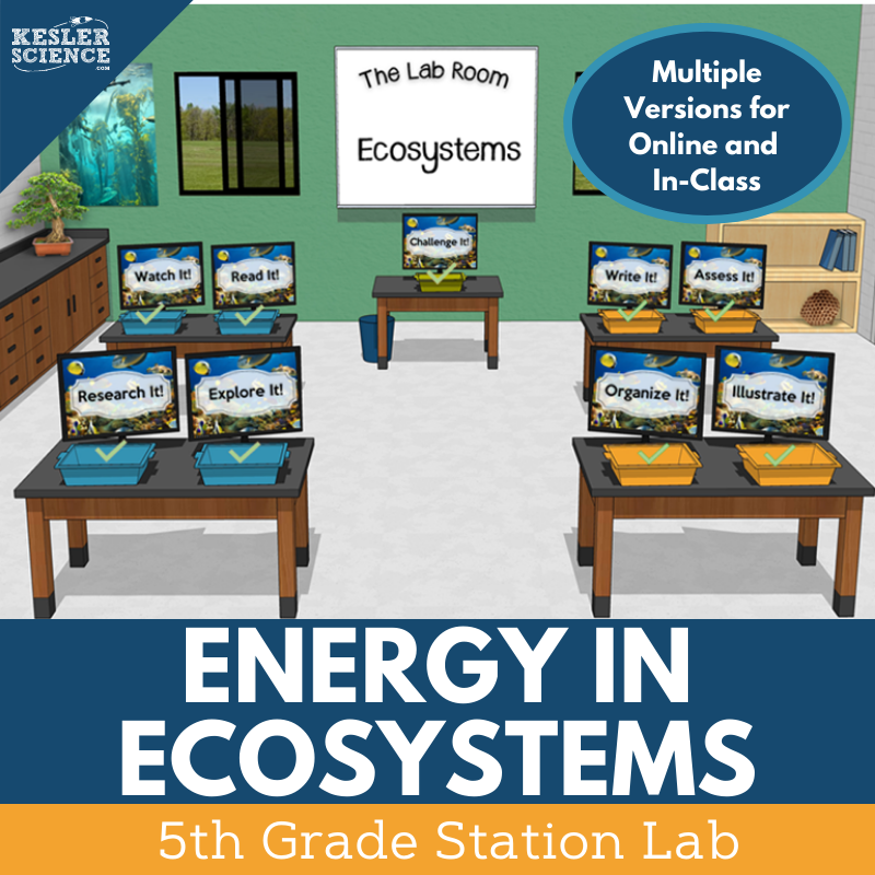 Energy in Ecosystems - Student-Led Station Lab - 5th Grade