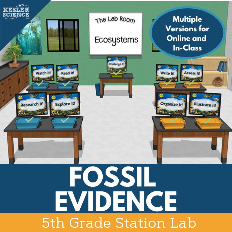 Fossil Evidence - Student-Led Station Lab - 5th Grade