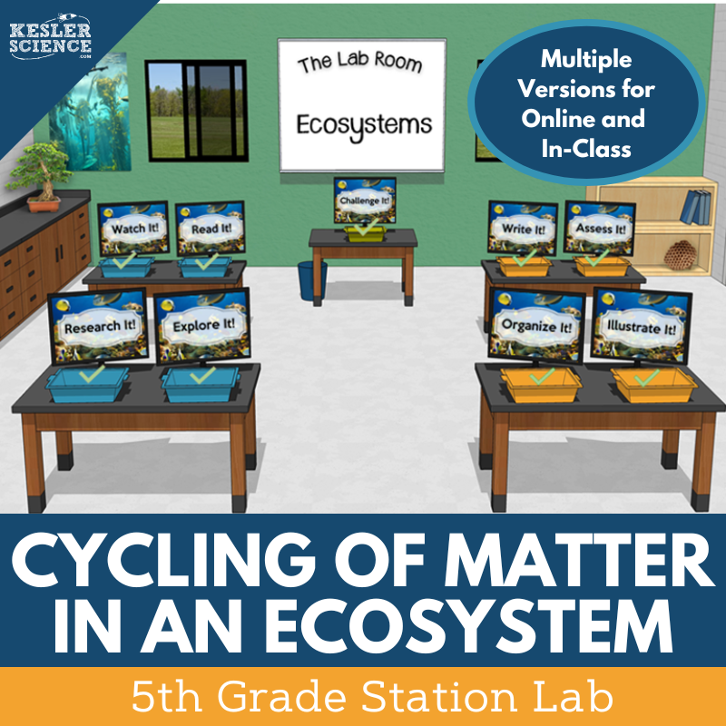 Cycling of Matter in an Ecosystem - Student-Led Station Lab - 5th Grade