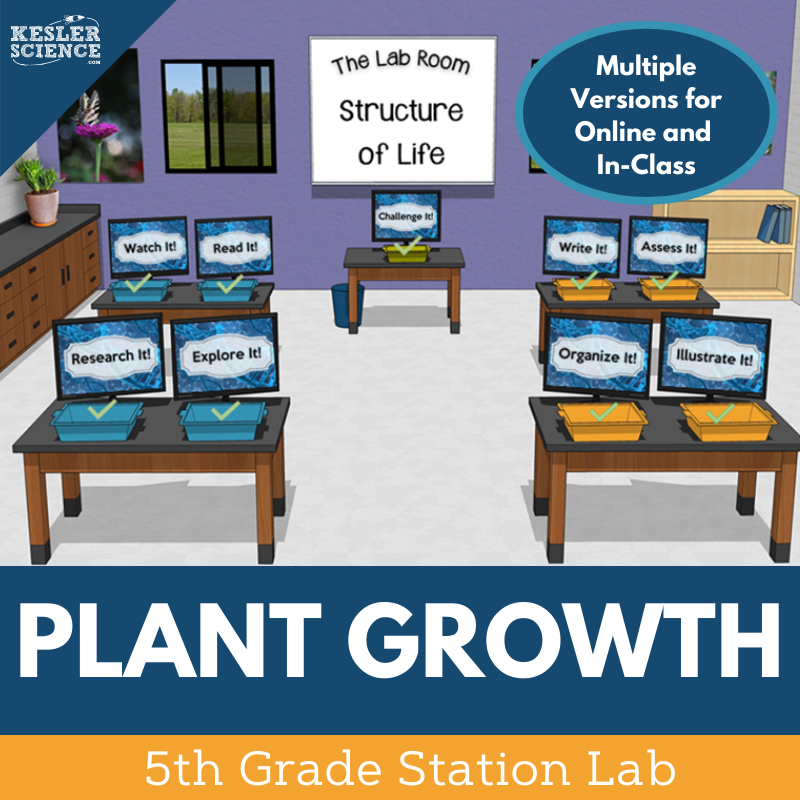 Plant Growth - Student-Led Station Lab - 5th Grade