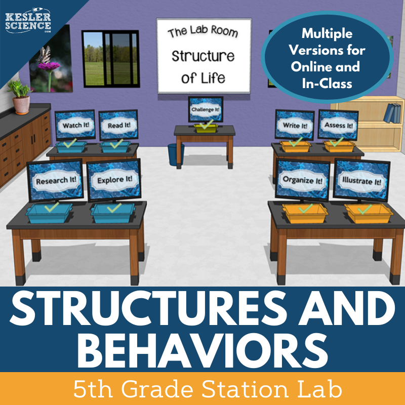 Structures & Behaviors - Student-Led Station Lab - 5th Grade