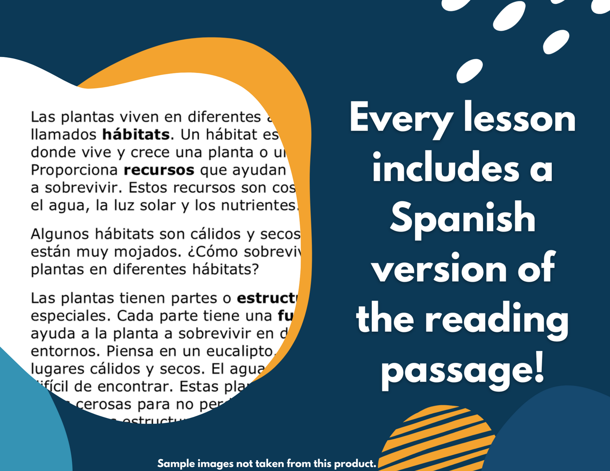 Compare Earth's Resources Student-Led Station Lab - Grade 4, New TEKS 4.11A