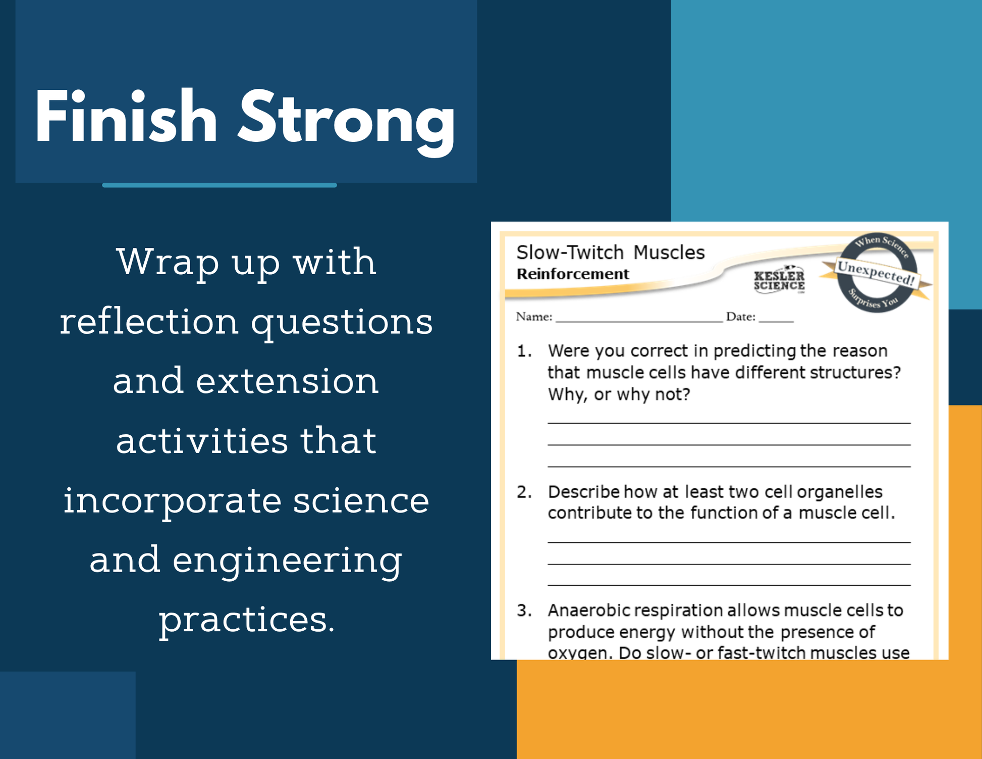 Amazing Anchors Cell Parts & Functions (Slow Twitch Muscles) - NGSS MS LS1-2, MS 6-8