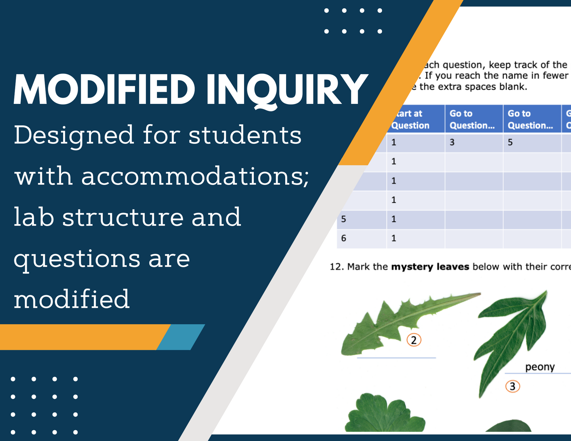 Dichotomous Key Worksheets Inquiry Lab - MS 6-8 Science TEKS