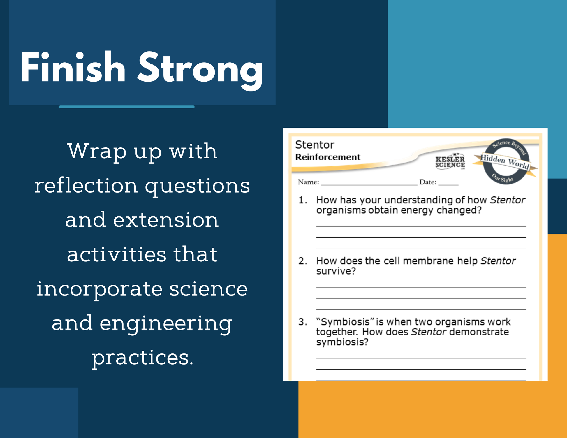 Amazing Anchors Cell Parts & Functions (Stentor) - NGSS MS LS1-2