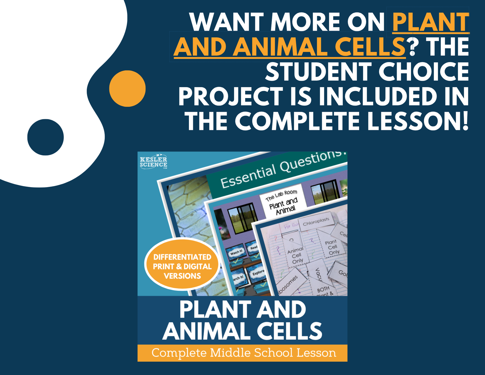 Plant & Animal Cells - Student Choice Projects - MS