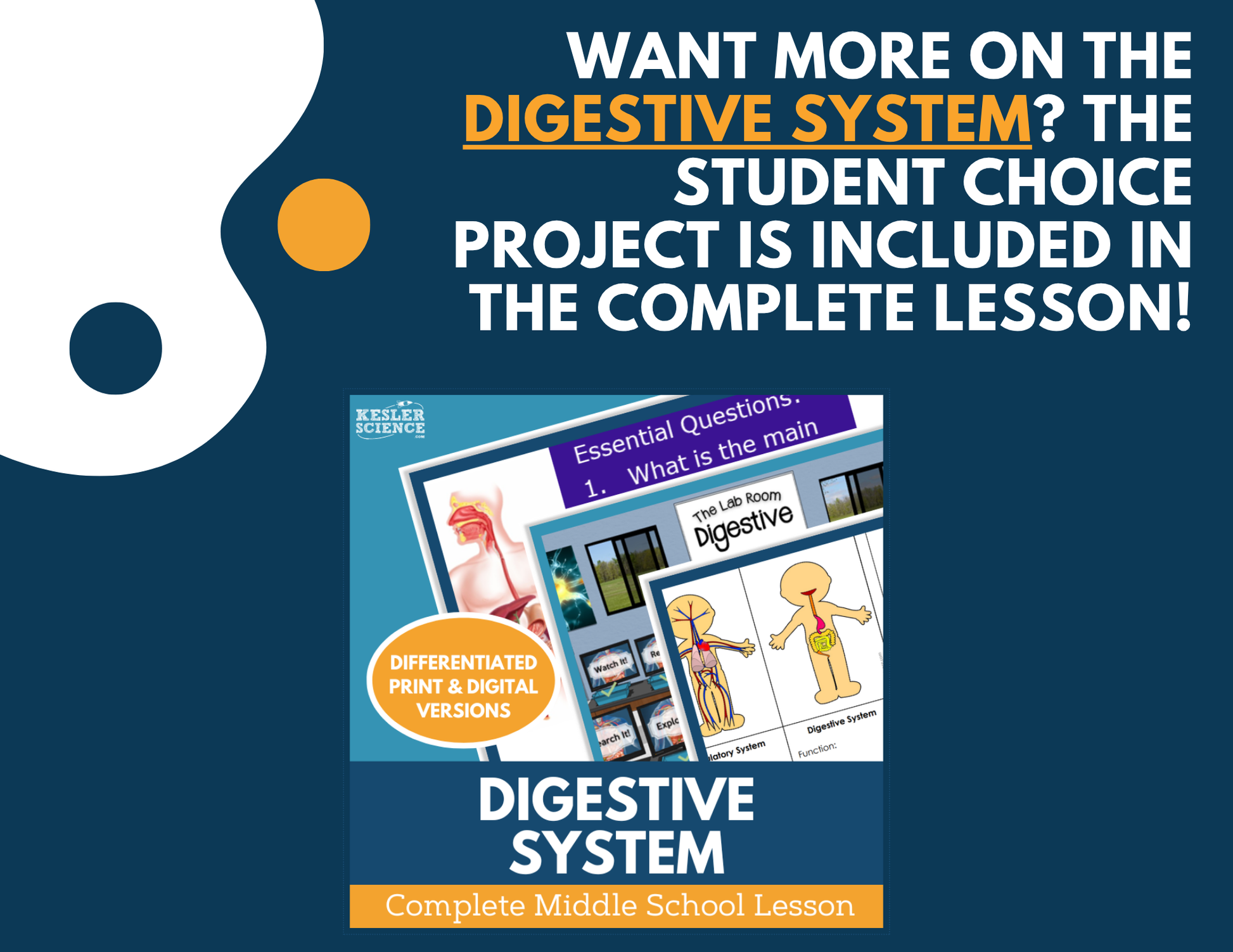 Digestive System - Student Choice Projects - MS