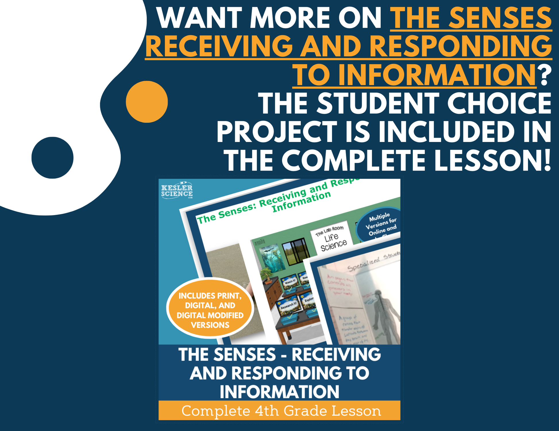 Senses - Sending & Receiving Information - Student Choice Projects - 4th Grade