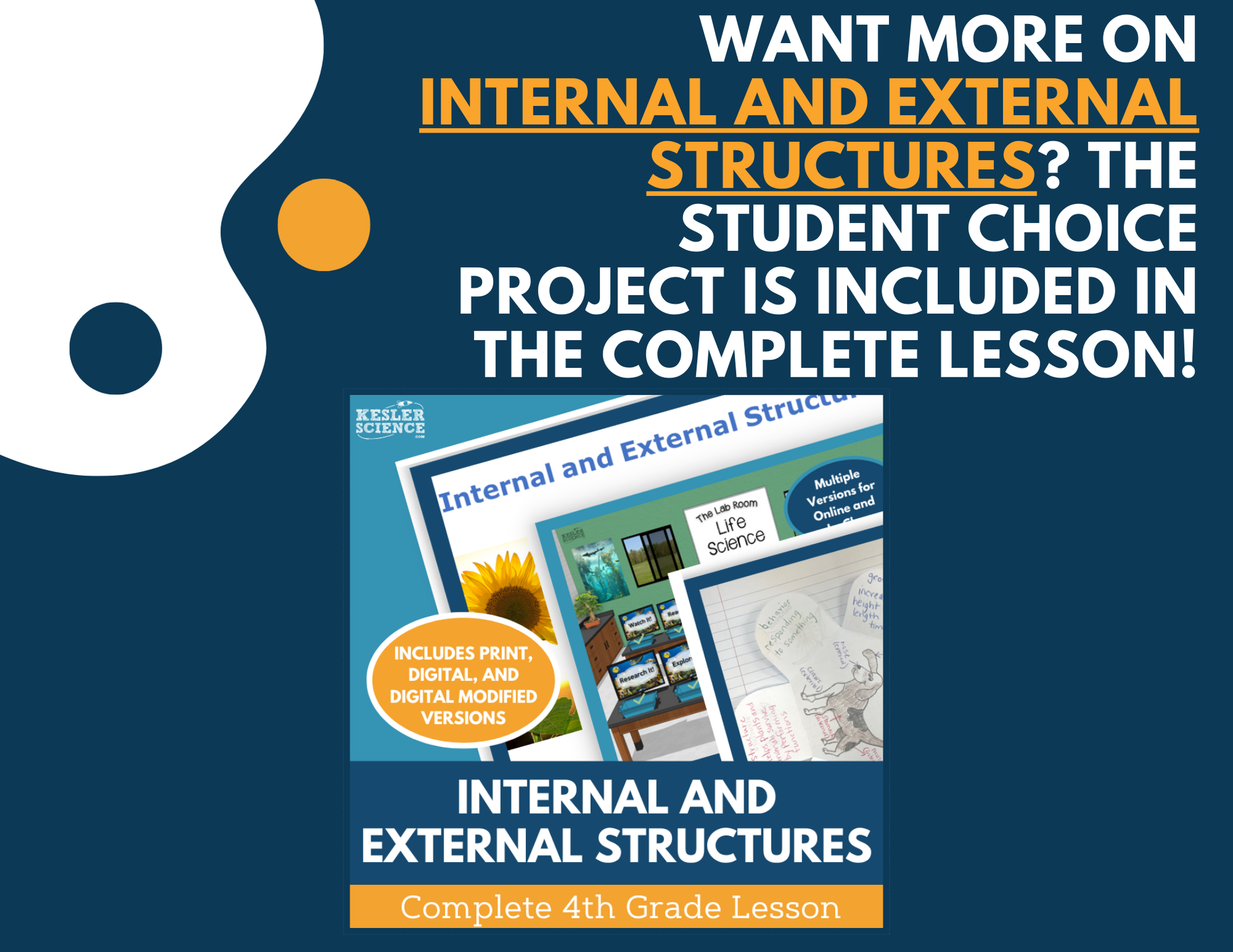 Internal & External Structures - Student Choice Projects - 4th Grade