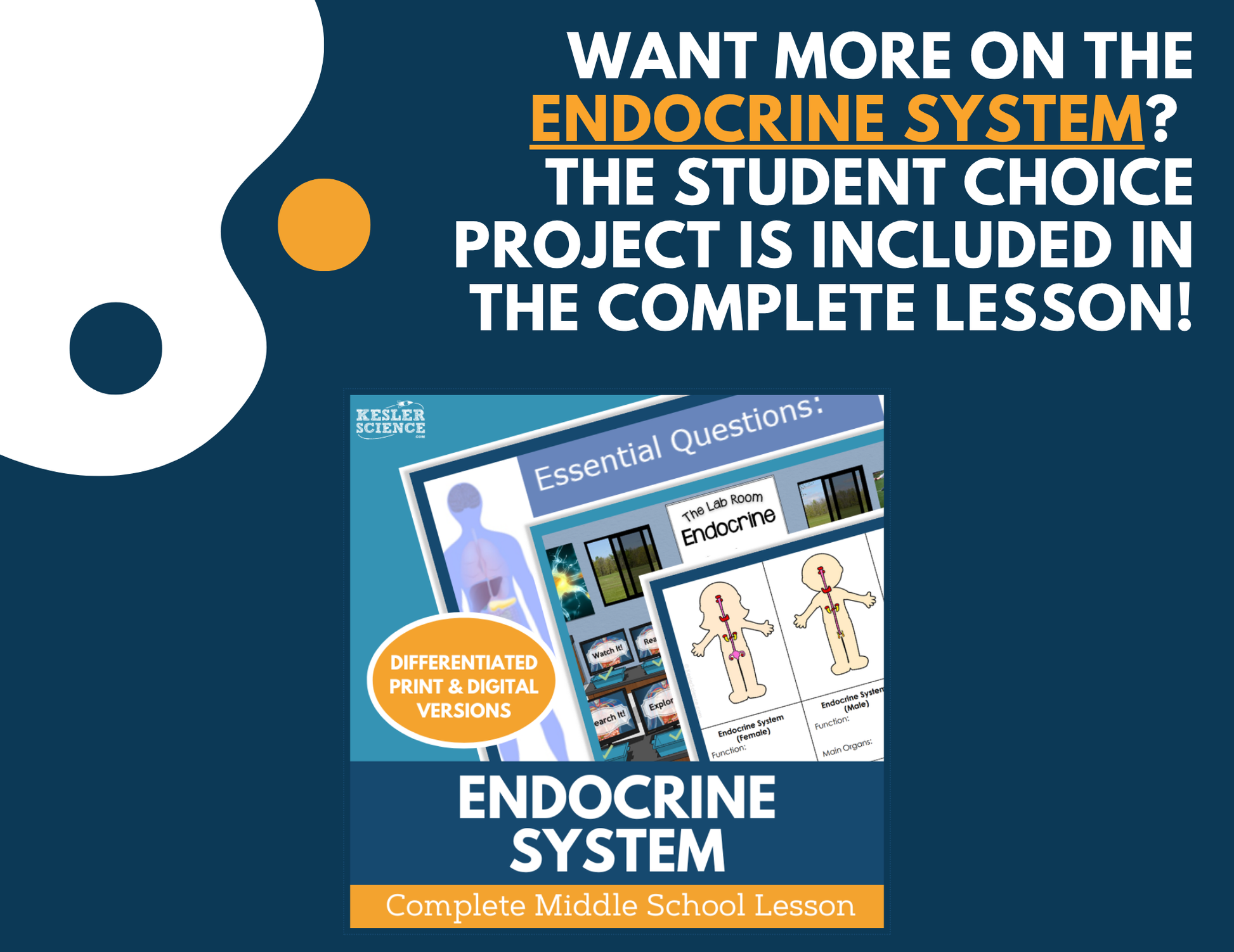 Endocrine System - Student Choice Projects - MS