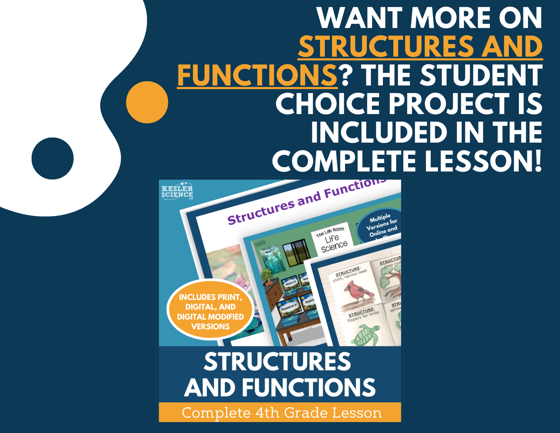 Structures & Functions - Student Choice Projects - 4th Grade
