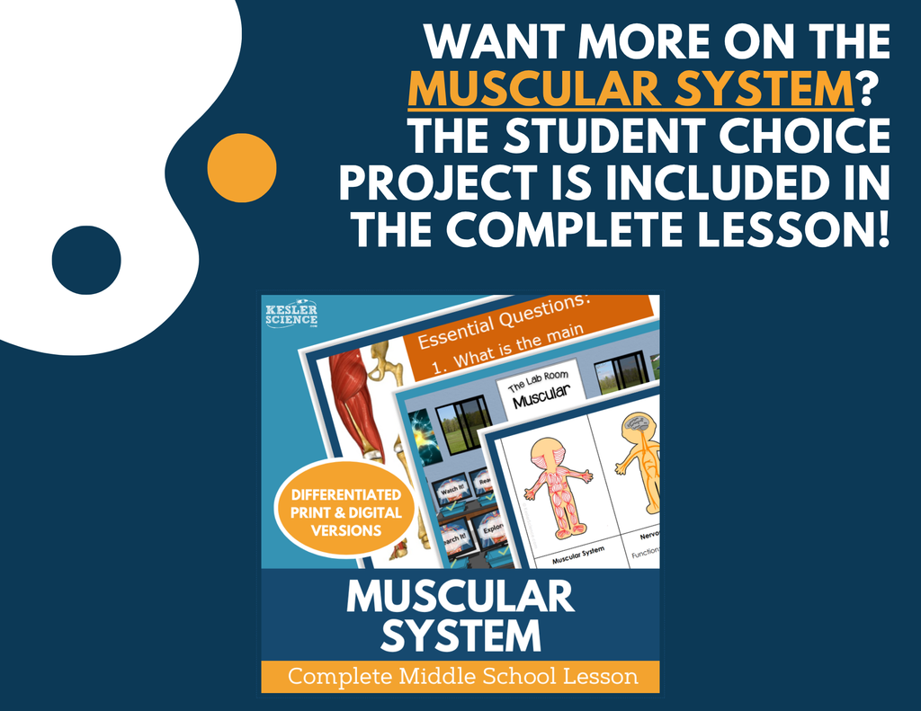 Muscular System Science Project Muscular System - Student Choice Projects - Grades 6-8 – Kesler Science ...