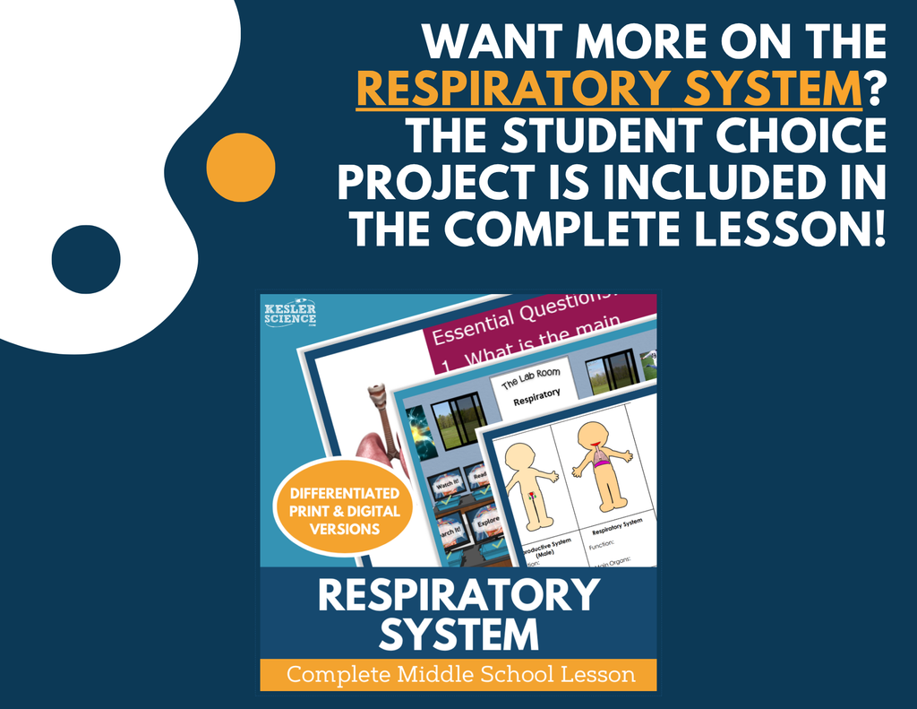 Respiratory System - Student Choice Projects - MS