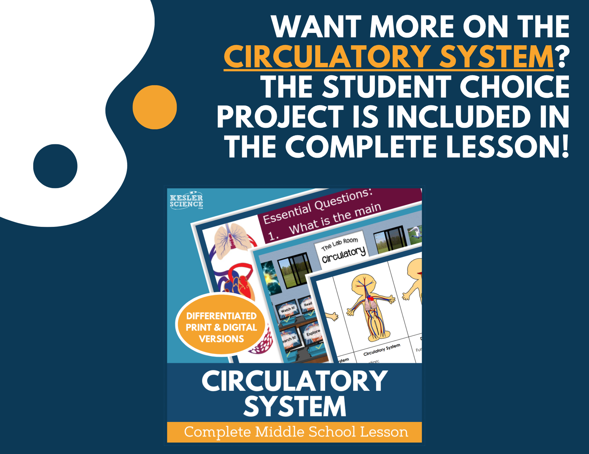 Circulatory System - Student Choice Projects - MS