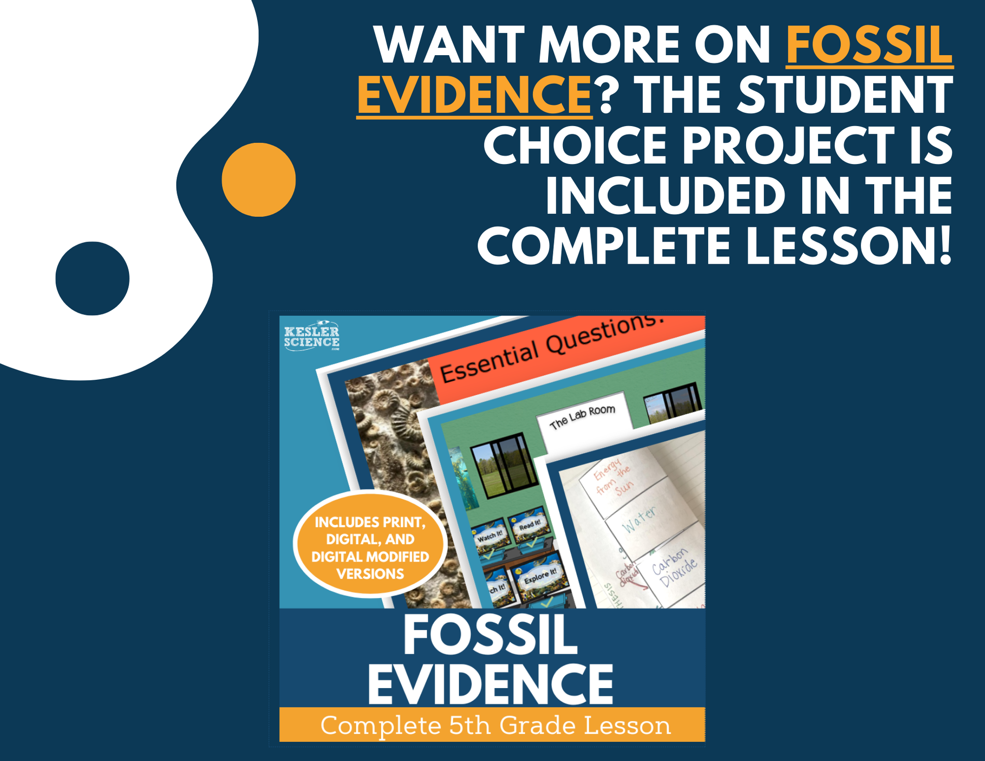 Fossil Evidence - Student Choice Projects - 5th Grade