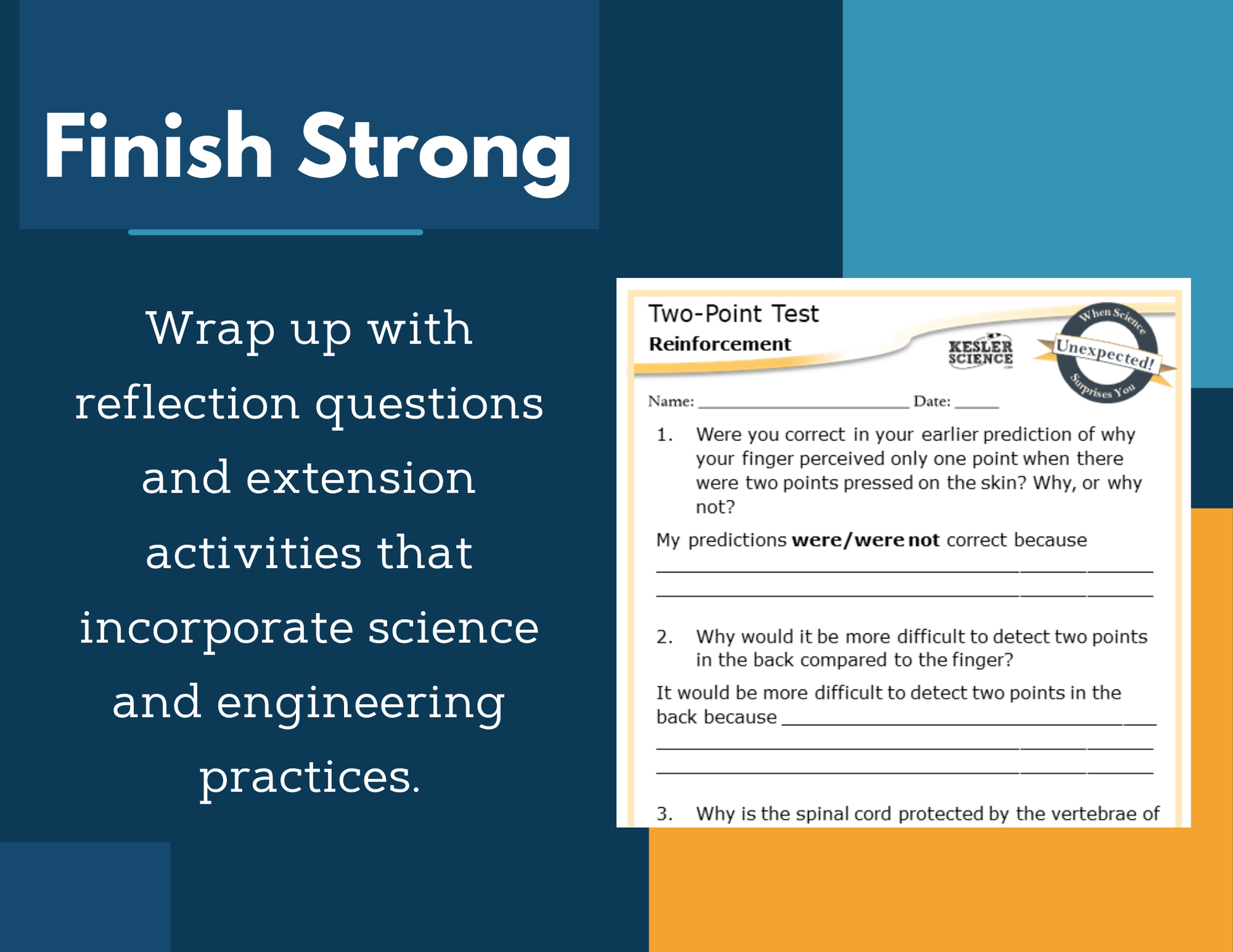 Amazing Anchors Interacting Body Systems (Two-Point Test) - NGSS MS LS1-3