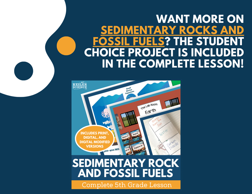Sedimentary Rocks & Fossil Fuels - Student Choice Projects - 5th Grade