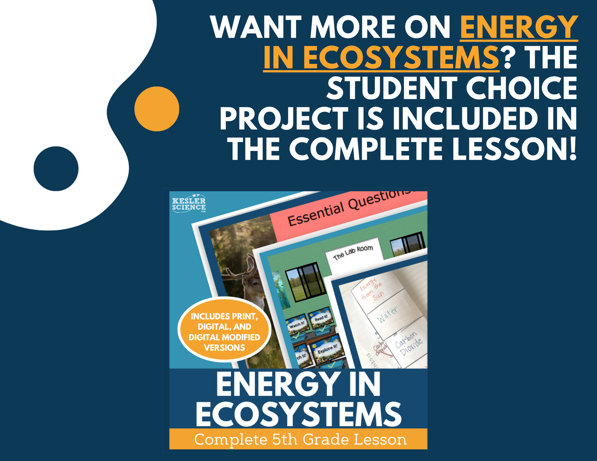 Energy in Ecosystems - Student Choice Projects - 5th Grade