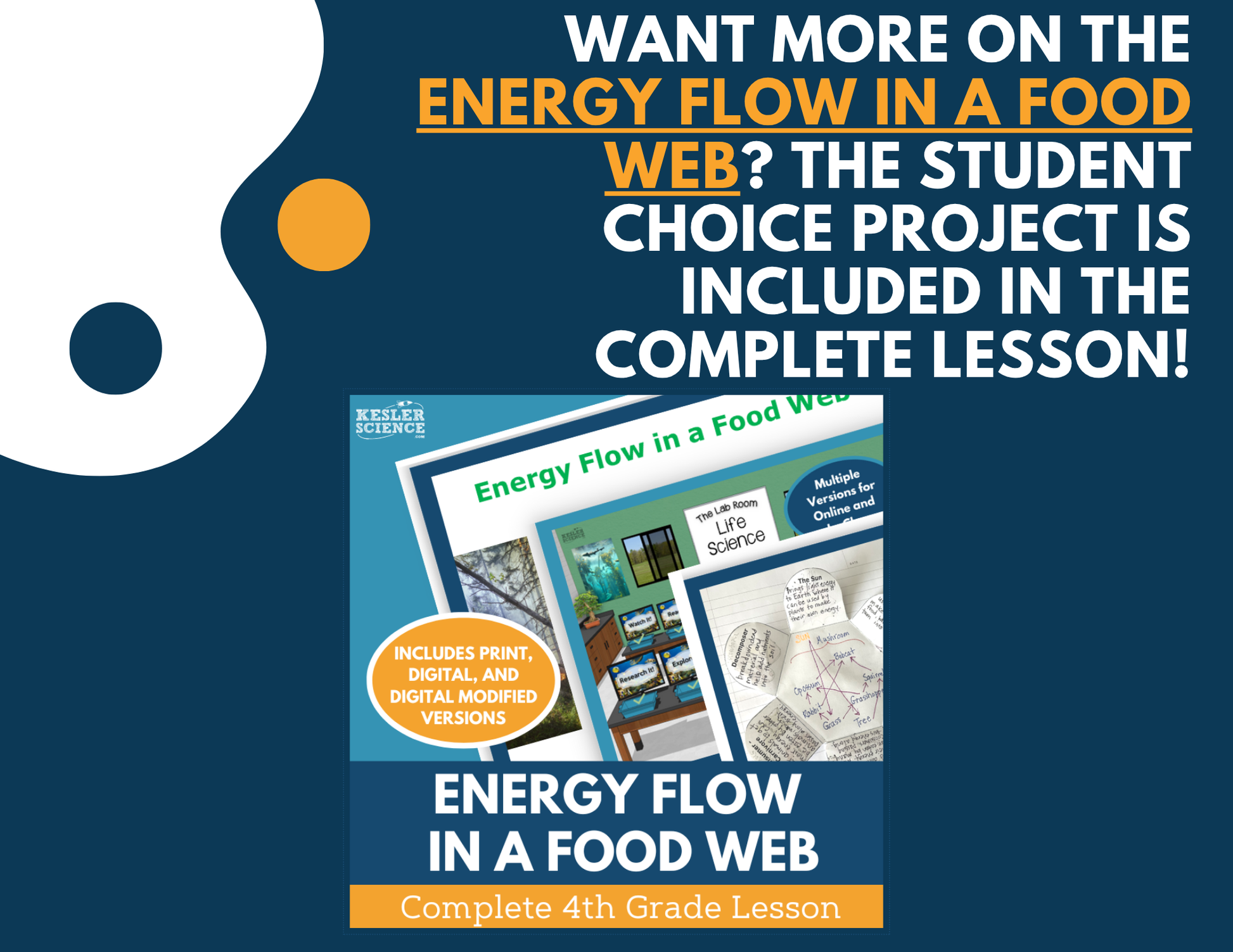 Energy Flow in a Food Web - Student Choice Projects - 4th Grade