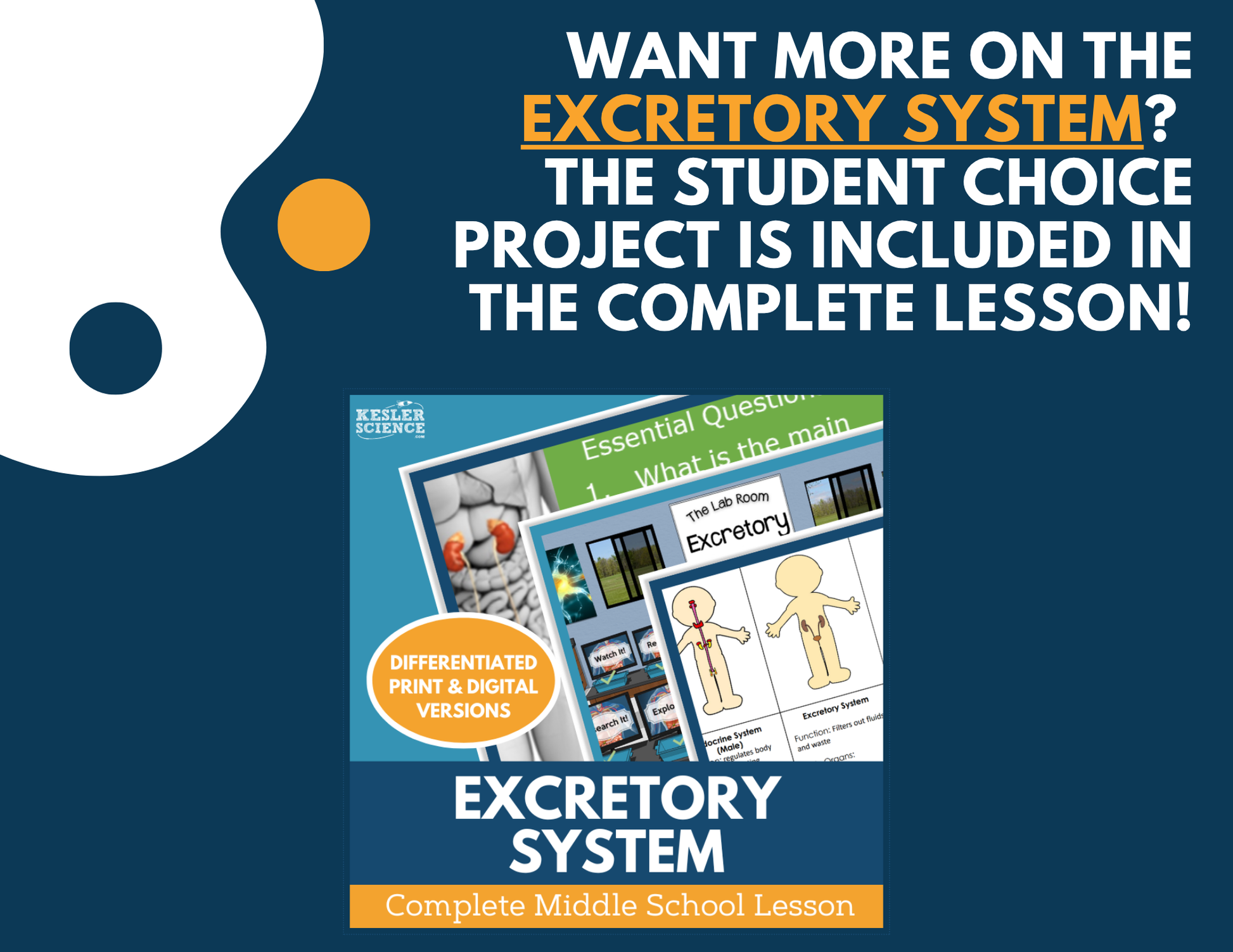 Excretory System - Student Choice Projects - MS