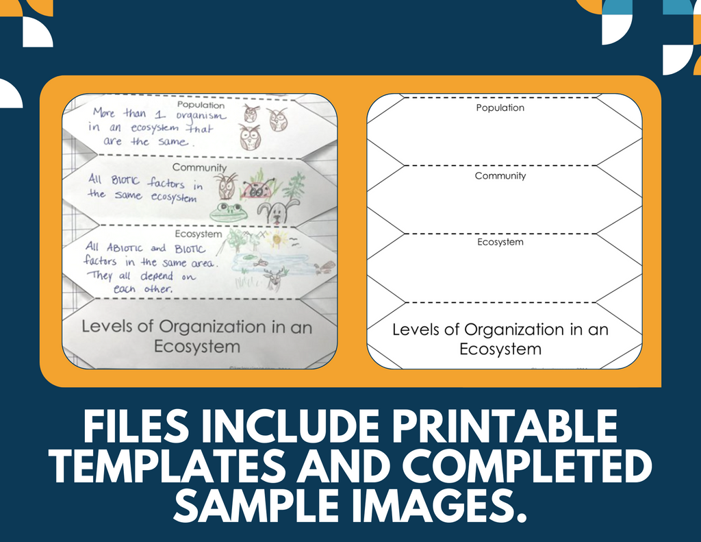 Ecosystem Relationships Interactive Notebook Pages - Paper INB - MS 6-8