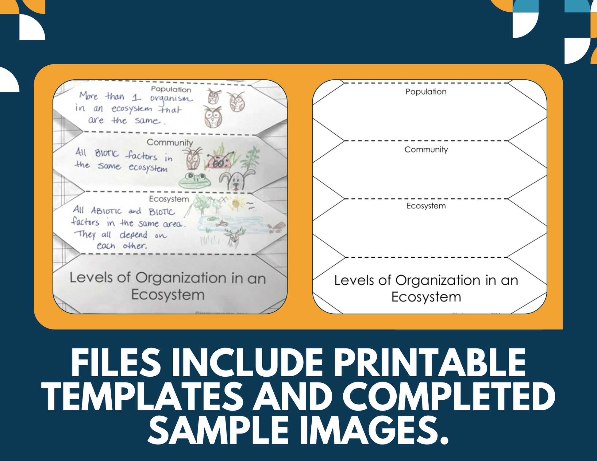 Ecosystem Relationships Interactive Notebook Pages - Paper INB - MS 6-8