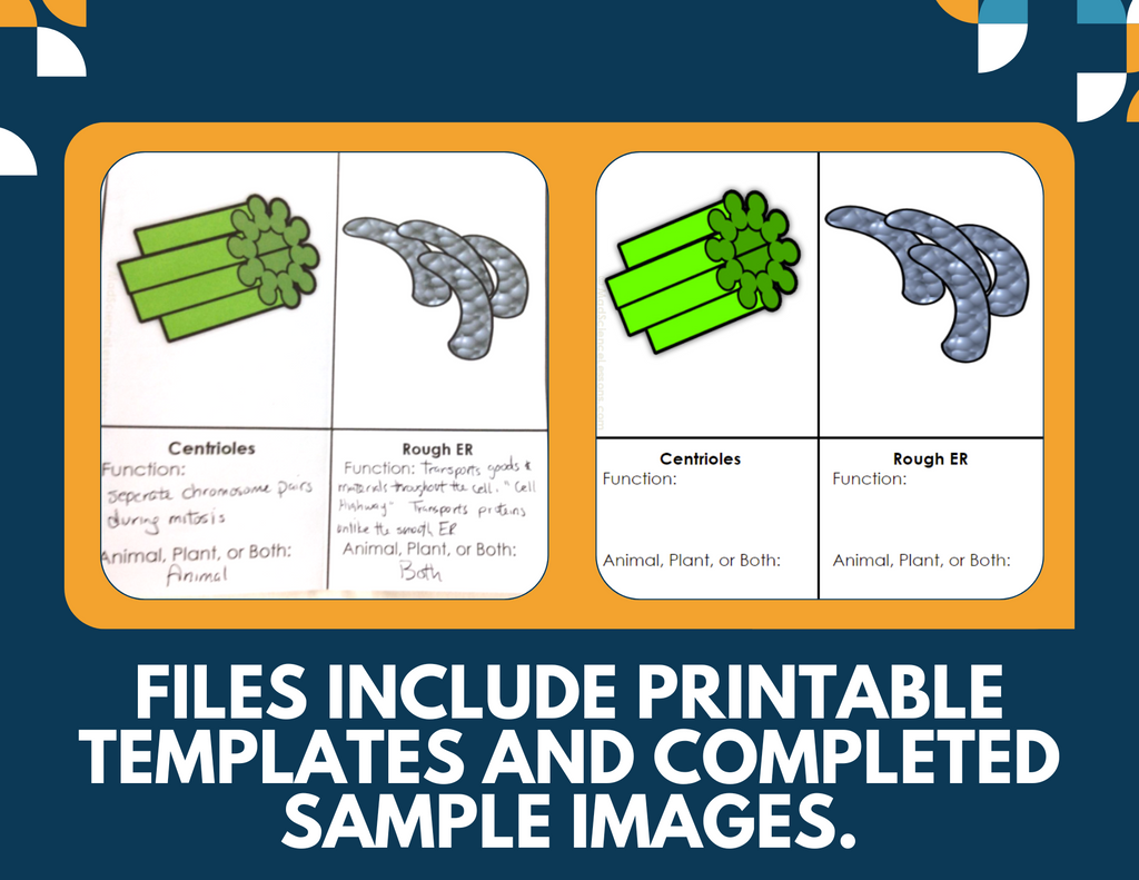 Cell Organelles Interactive Notebook Pages - Paper INB - MS 6-8