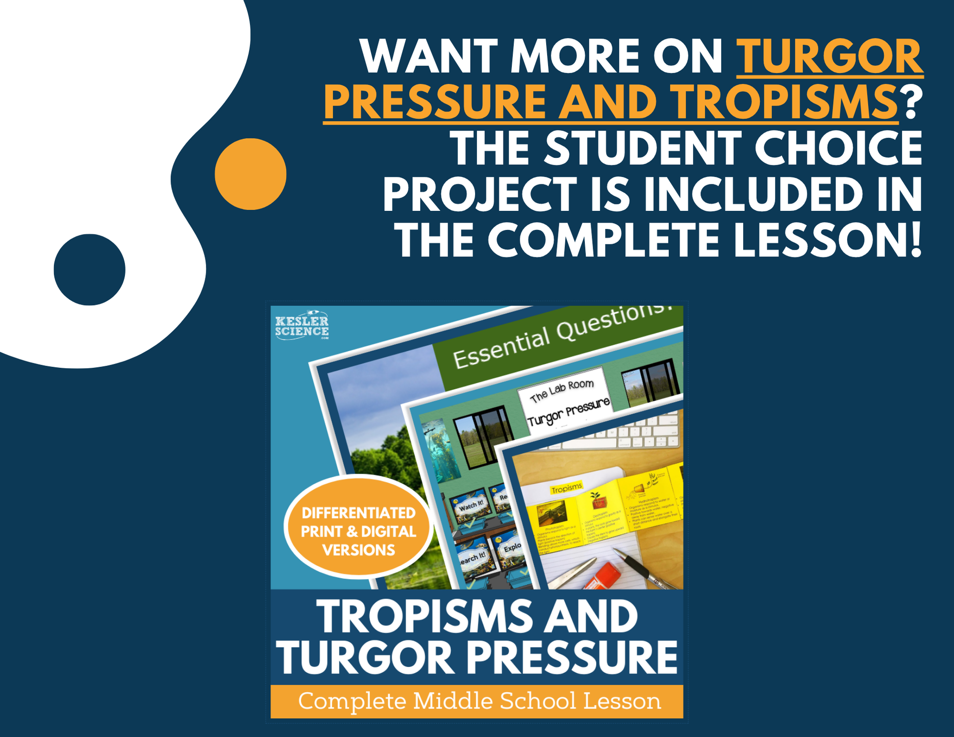 Tropisms & Turgor Pressure - Student Choice Projects - MS