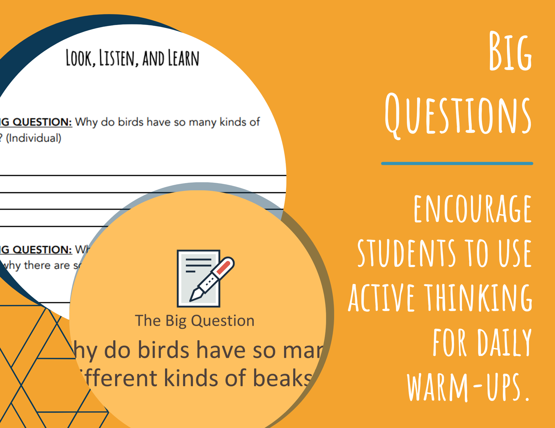 STEM Challenge - Project: Birdman - Design a Bird Beak for a Feeding Frenzy