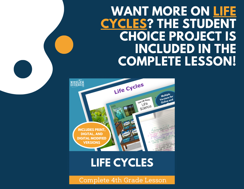 Life Cycles - Student Choice Projects - 4th Grade