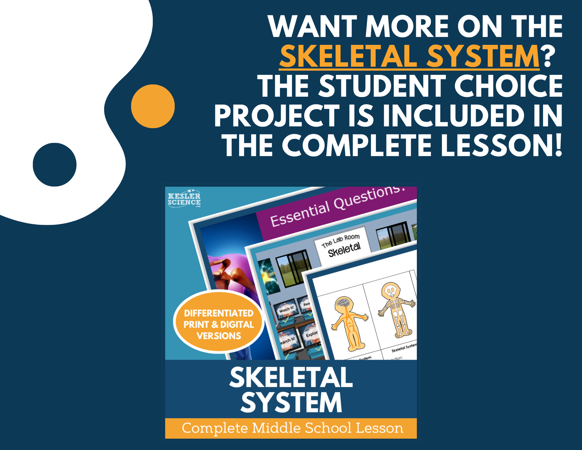 Skeletal System - Student Choice Projects - MS