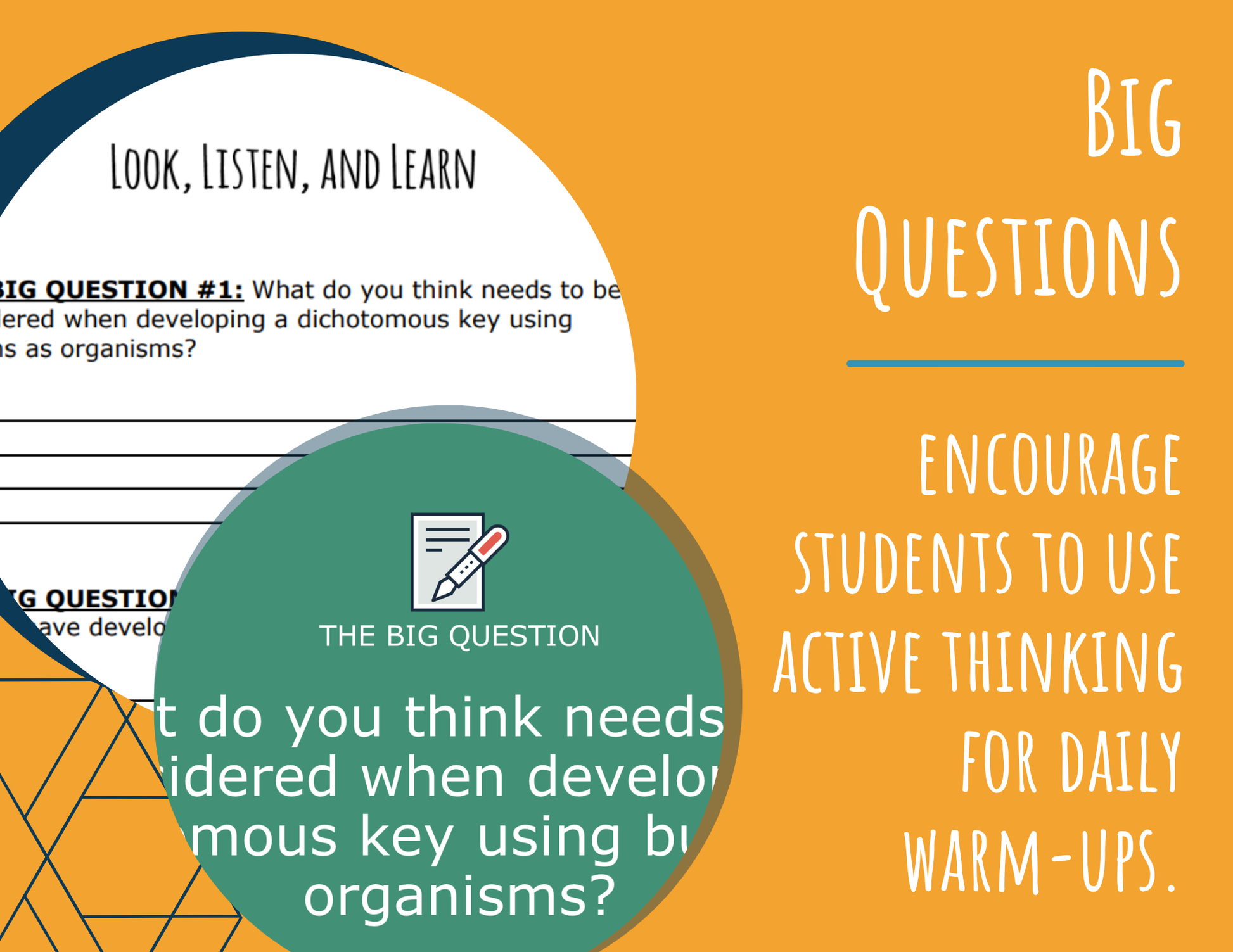 STEM Challenge - Project Keys to the Kingdom - Create a Button Dichotomous Key