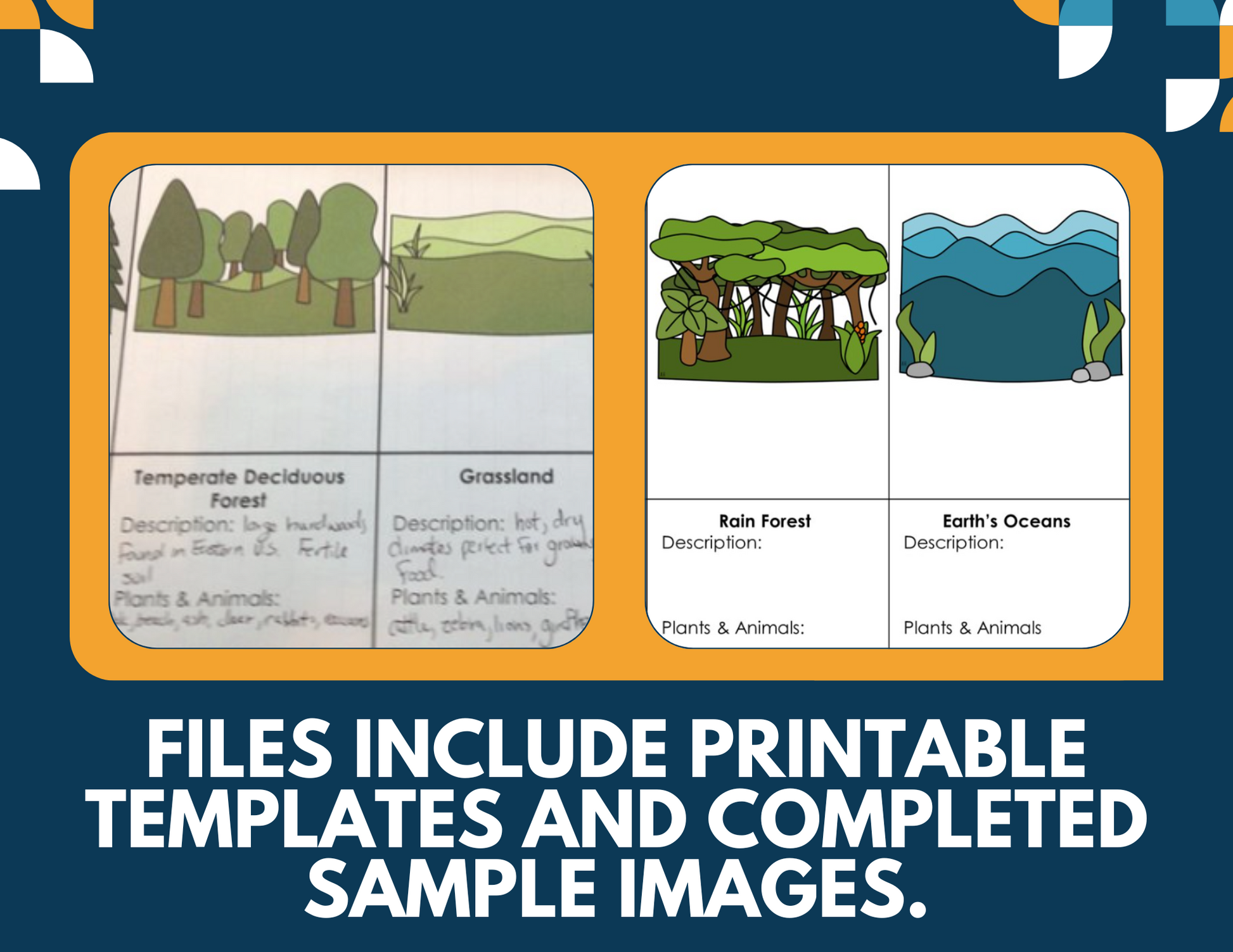 Biomes Interactive Notebook Pages - Paper INB - MS 6-8