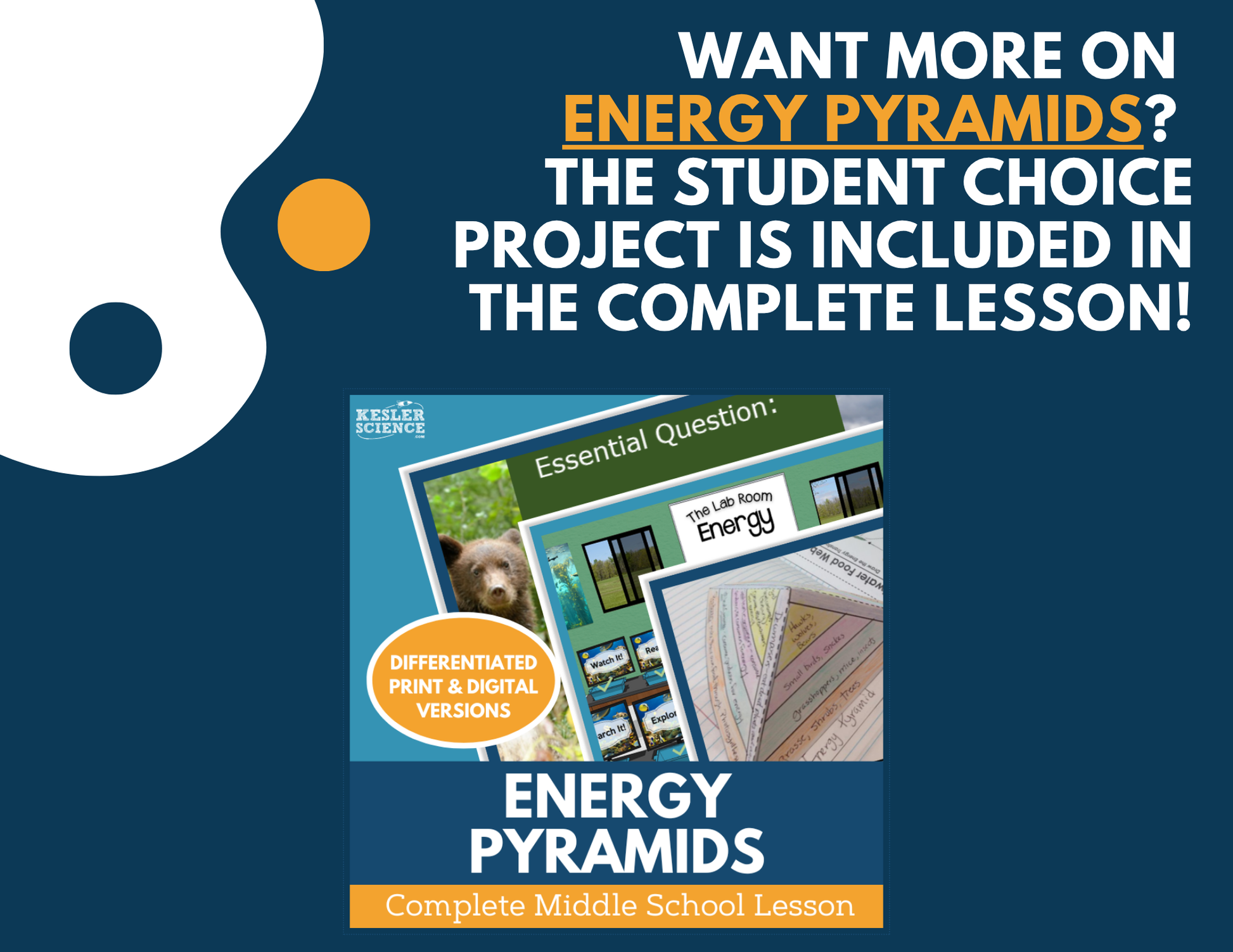 Energy Pyramids - Student Choice Projects - MS