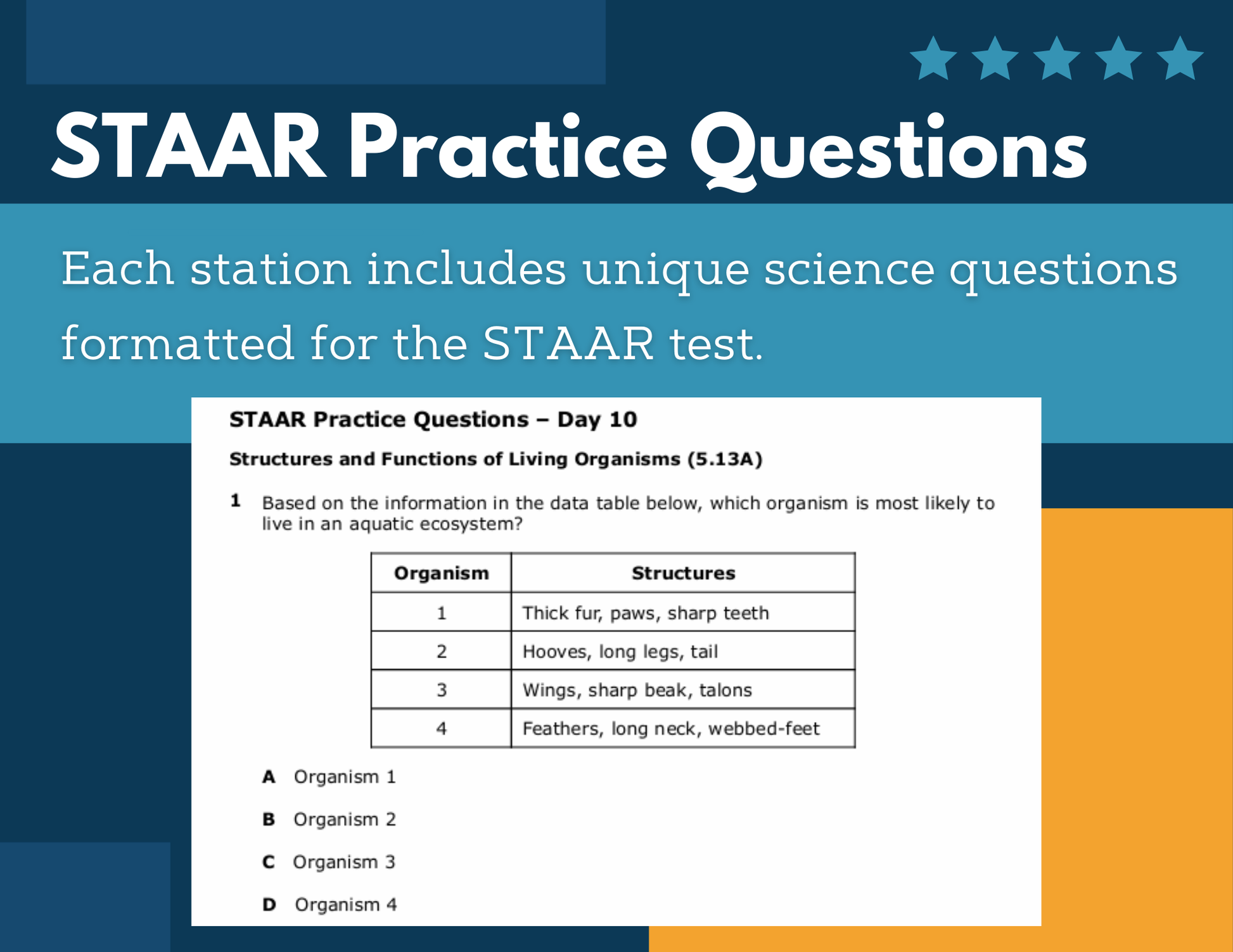 Lone STAAR Launch '26 for 5th Grade