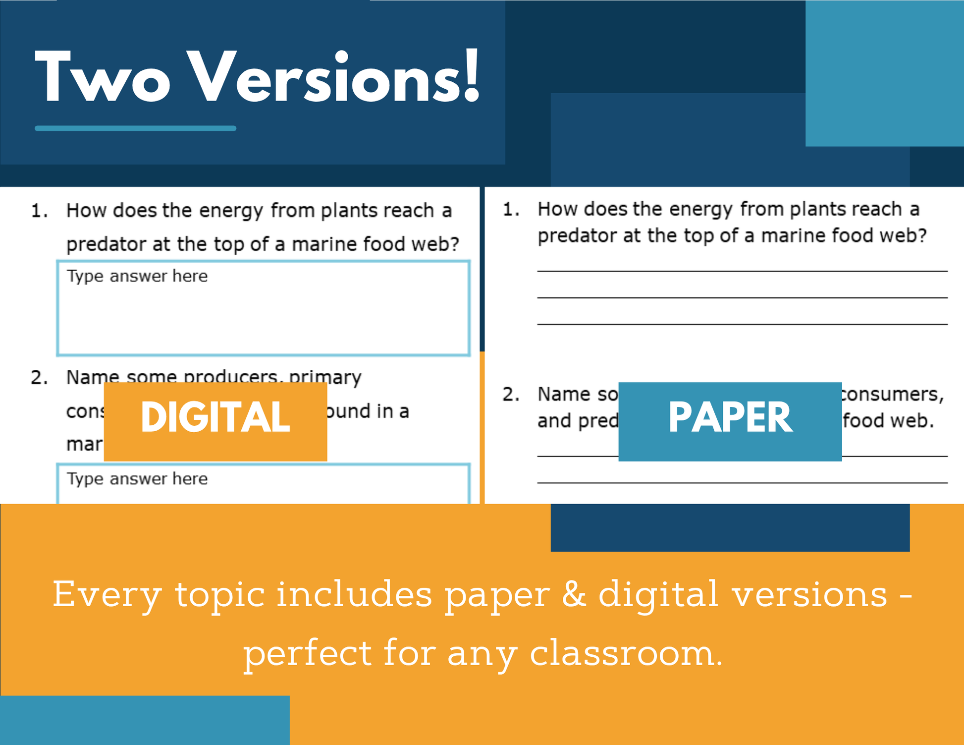 Amazing Anchors Food Webs & Food Chains (Marine) - MS 6-8