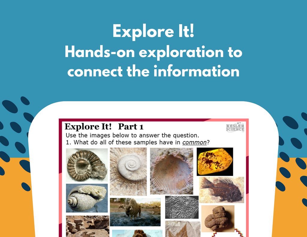 Fossils Station Lab - MS