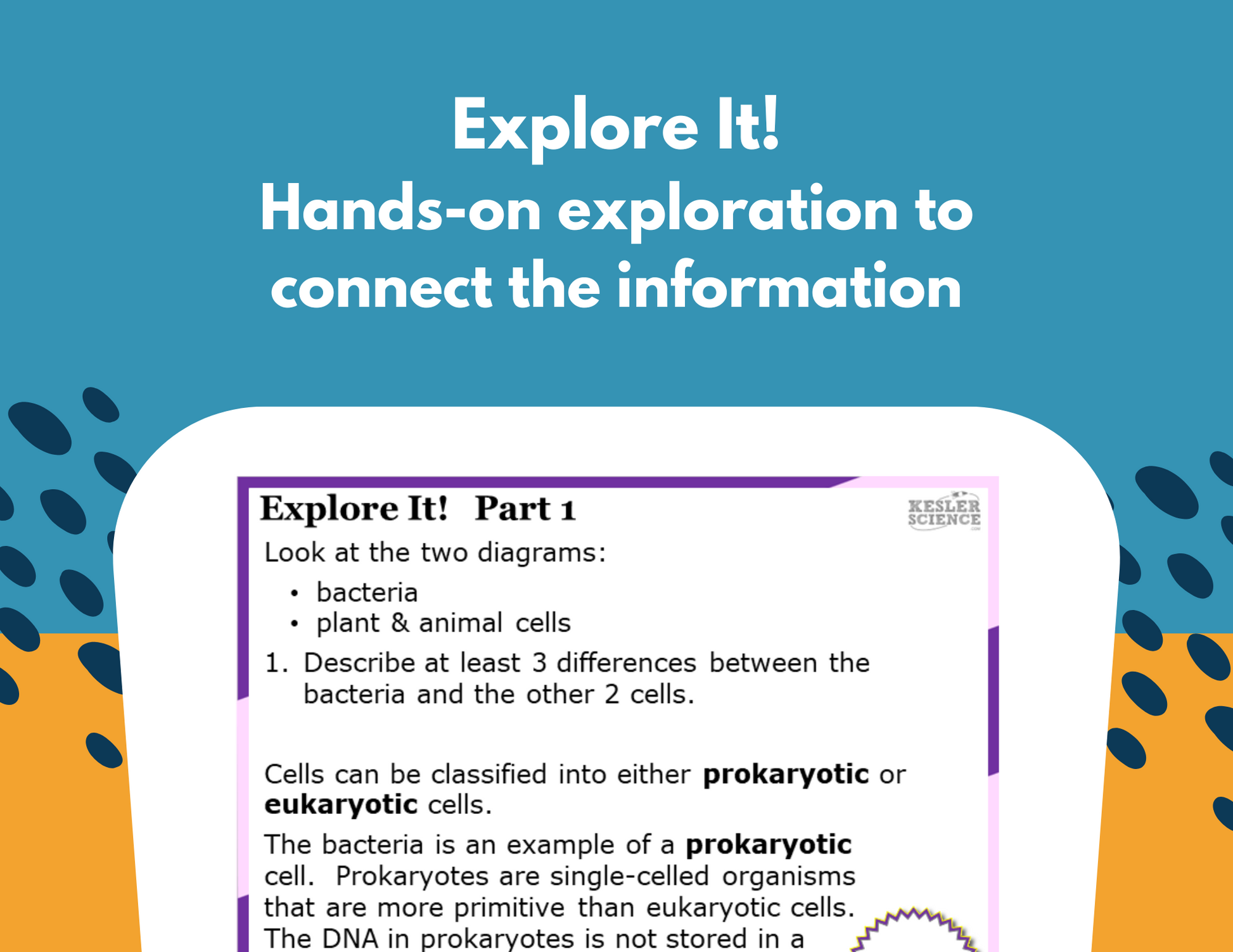 Prokaryotic & Eukaryotic Cells Station Lab - MS